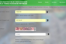 Cara Cek Status MTKI Online dengan Mudah Terbaru 2024, Setiap Nakes Harus Tau Prosedur Awal hingga Akhir!