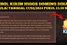 Higgs Domino Tutup Tombol Kirim Per Hari ini 18 Februari 2024, Penjual Chip Putar Otak