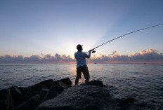 Bocoran Kalender Mancing Bulan Maret 2024, Catat Untuk Hasil Laut yang Luar Biasa!