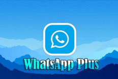 Download Blue WhatsApp Plus Mod APK Versi Terbaru 2024, Unlocked Semua Fitur! Anti Banned Banyak Pilihan Tema