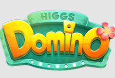 [Free] Download Higgs Domino Versi Lama APK yang Ada Tombol Kirimnya Unlimited Money Terbaru 2024 Untuk Android, iOS, dan PC