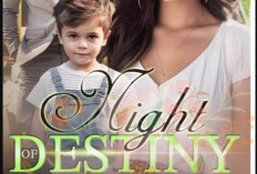 Novel Night of Destiny Full PDF Free Download, Kisah Anastasia yang Menemukan Cinta Sejati Karya Vanessa. K