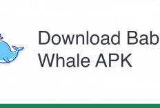 Baby Whale APK Penghasil Uang Apakah Terbukti Membayar atau Penipuan? Bongkar Faktanya Disini!