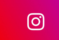 Cara Pakai SSIG Download Foto Video Instagram 2024 Full HD Gratis, Ikuti Langkah-Langkahnya di Sini!