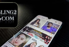 Khusus 18+, Link Download Bling2 Mod Apk Terbaru 2024 Premium Akses Semua Channel! Untuk Android & iOS Lengkap