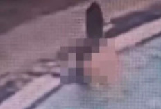 Video Detik-Detik Rekaman CCTV Dante No Sensor Ditenggelamkan Oleh Kekasih Sang Ibu VIRAL Klik di Sini